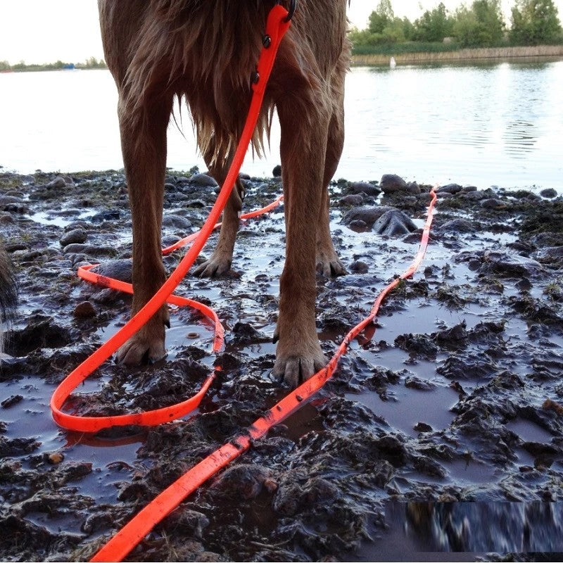 Guia de Cachorro Impermeável Longa de PVC Coleira Fácil de Limpar para Cães Pequenos, Médios, Grandes, Grandes, para Caminhada e Adestramento, 3m 5m 10m 15m
