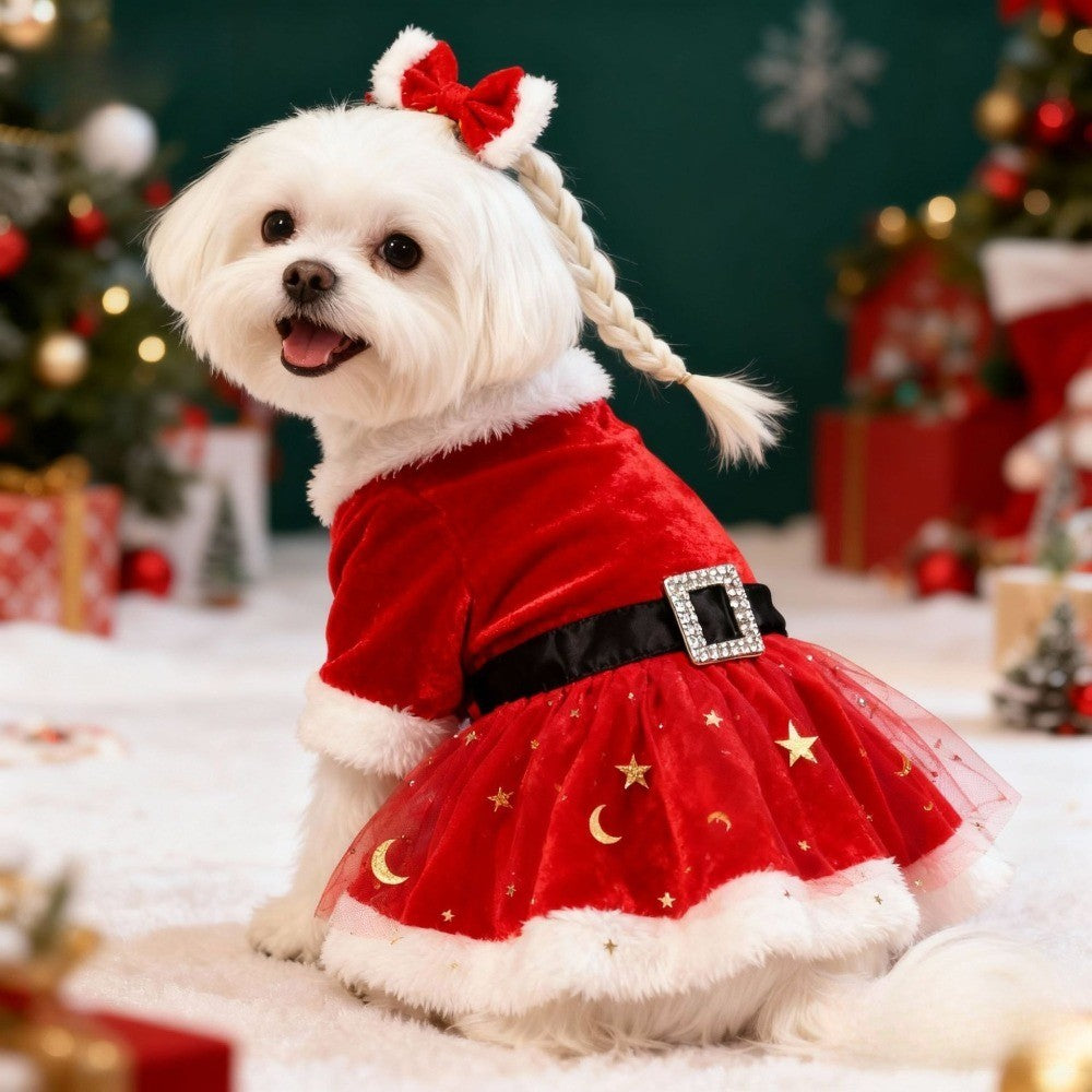 Vestido Festivo para Cães Fantasia Papai Noel Saia de Malha Vermelha Tecido Veludo Dourado Roupa para Pet Festa Aniversário Ano Novo