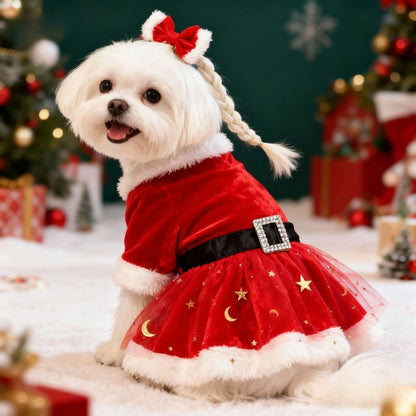 Vestido Festivo para Cães Fantasia Papai Noel Saia de Malha Vermelha Tecido Veludo Dourado Roupa para Pet Festa Aniversário Ano Novo