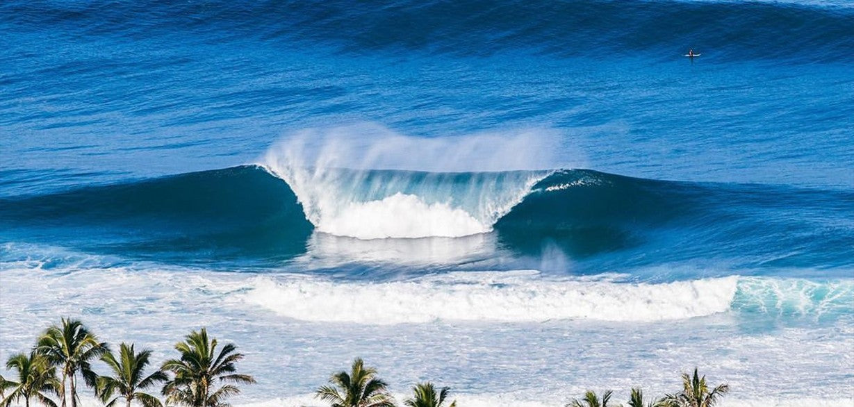 Cartoon Toy Story Long Sleeve Anime Surfing Jersey Beach Swimwear Diving Gym Shorts MMA BJJ Men Jiu Jitsu Fitness Sets