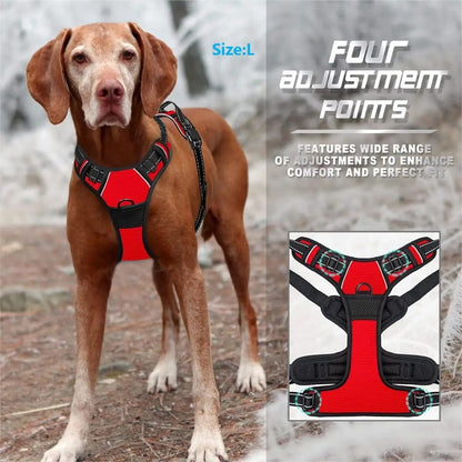 Coleiras de Cachorro Guias Grandes Coletes Loja de Animais Tudo para Cães Acessórios de Couro para Filhotes Médio Pequeno Kit