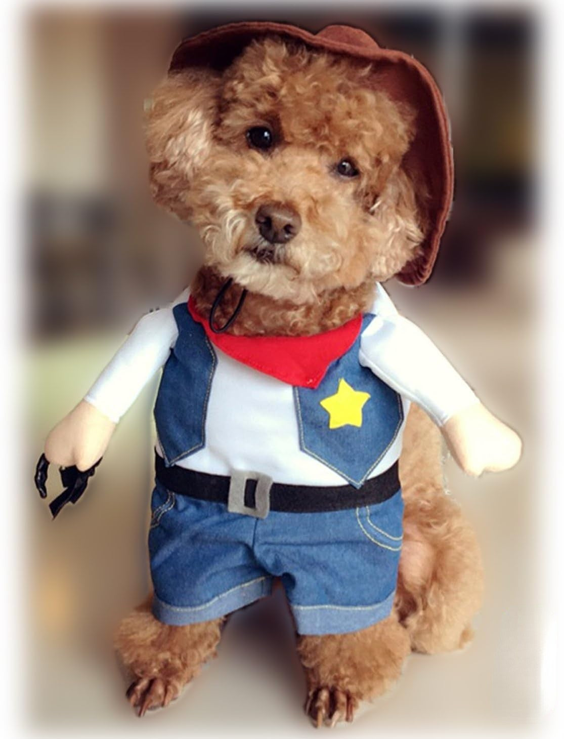 Fantasias de Halloween para Cães e Gatos, Uniforme de Cowboy do Oeste com Chapéu, Roupa Engraçada de Cowboy para Pets, Fantasia Engraçada para Gatos e Cães Pequenos