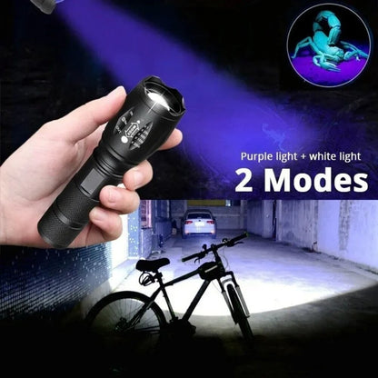 2-in-1 Type C Rechargeable UV Flashlight Torch Light 395nm Black Light Portable Ultraviolet Light Pets Blacklight Uv Flashlights