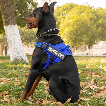 Personalized dog harness custom name tag doberman pinscher breathable adjustable pet harness suitable for medium and large dogs