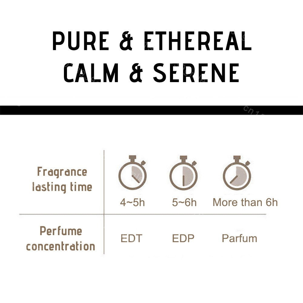 No.33 Sandalwood Eau De Parfum Spray Unisex 100Ml Warm Woody Base Lasting Perfume High Quality Perfume for Women Men