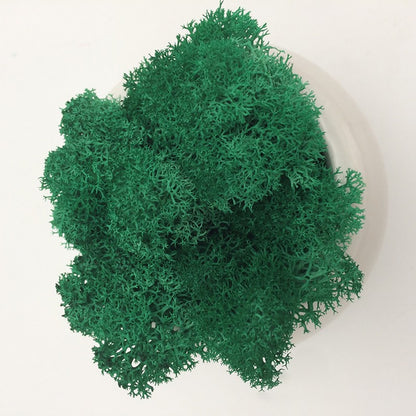 200/1000g Quality Artificial Green Plant Eternal Life Moss Fake Flower Moss Grass Home Living Decorative Wall DIY Micro Landscap