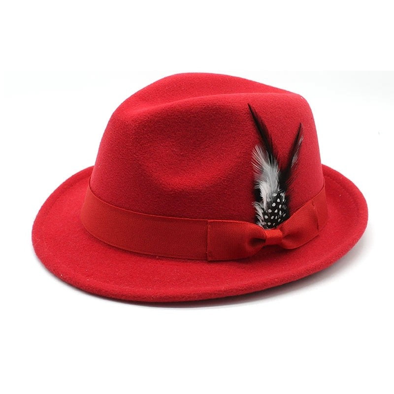 Bow-Knot Feather Hat Autumn and Winter Upturned Brim Hat Fashionable Men's and Women's Cashmere Felt Hat, Ethnic Style New Hat