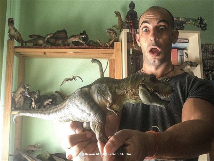 Tiranossauro Rex Eterno Rei Dinossauro Adulto e Infantil Modelo de Brinquedo Figura Enfeite de Mesa Coleção Presente de Festival Surpresa