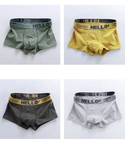5PCS Boxer Panties Men Letter Underwear Trunks Sexy Underpant Comfortable Breathable Soft Cotton Panties Boxer Shorts Plus Size