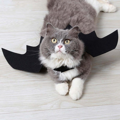 Atacado Fantasia de Cosplay de Gato Fofo Asas de Morcego Cinto de Segurança Role Playing Pet Gato Cachorro Decoração de Festa de Halloween Suprimentos