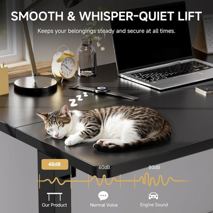 Electric Standing Desk, 55 x 24 Inches Sit Stand up Desk with Memory Preset Controller, Height Adjustable Ergonomic Home Office