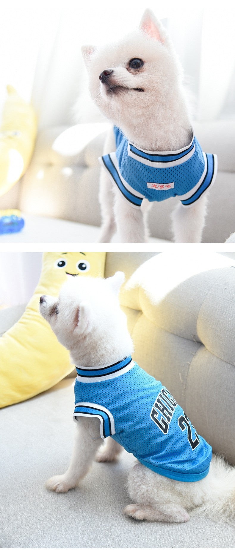 Roupa de cachorro respirável em tela para Schnauzer Teddy, camisa de basquete esportiva para cães grandes, camisetas para filhotes, camisas de verão para gatos de estimação