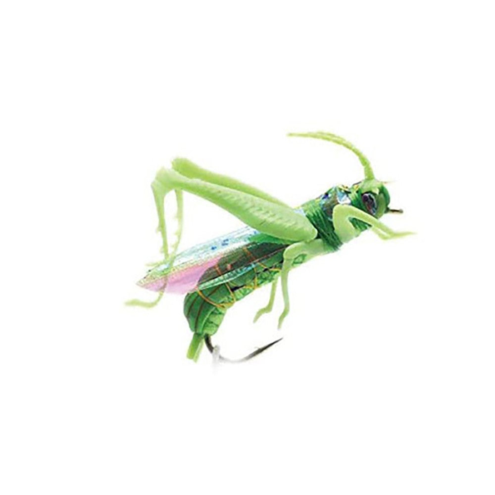 Isca de pesca biônica de insetos Gafanhoto Minnow Iscas duras Crankbait Iscas artificiais Bass Carpa Lúcio Material de pesca 1~4 peças