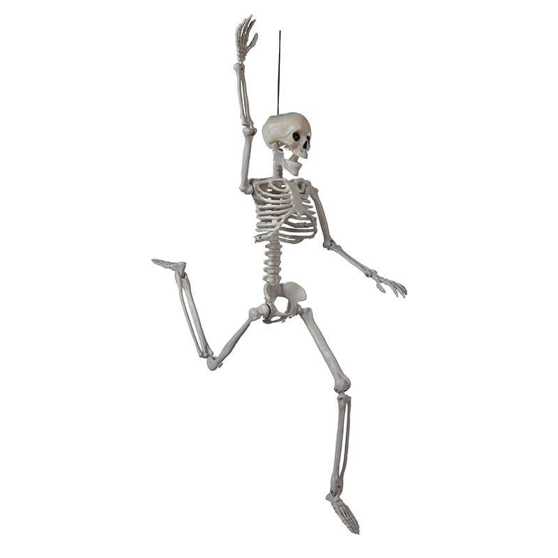 Decorações de Halloween para Casa Crânio Esqueleto Adereços de Terror para Exterior Caveira e Mãos Realistas para Jardim Brincadeiras Festas e Suprimentos