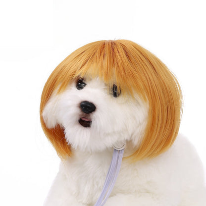 Peruca para Animais de Estimação, Peruca para Cachorro, Suprimentos para Animais de Estimação, Acessórios de Halloween para Animais de Estimação, Peruca de Cabelo Cacheado, Cabelo Liso, Peruca para Gato, Pode Ser Aparada (DIY)