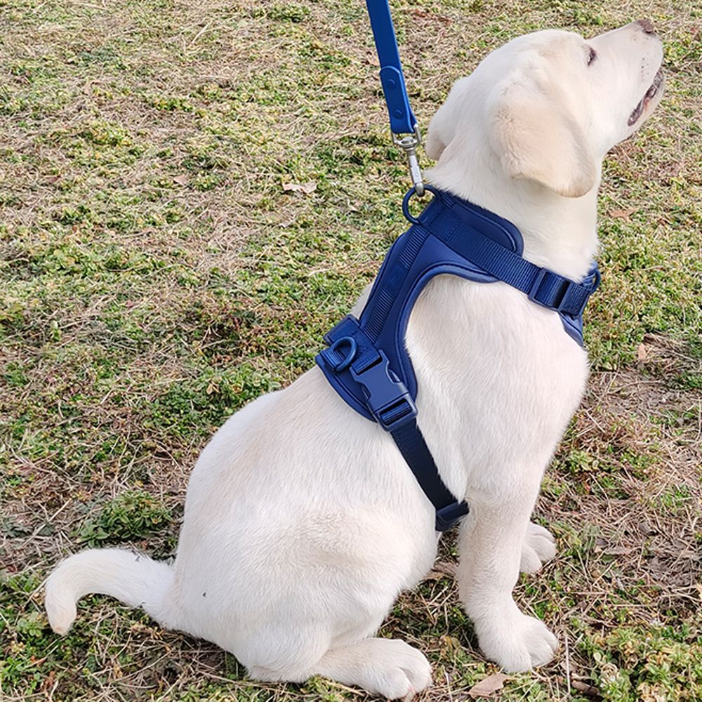 Peitoral para Cães Respirável Leve Ajustável com Alça Peitoral para Caminhada ao Ar Livre Treinamento para Cães Pequenos e Médios