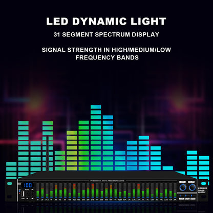 EQ31SUB Digital Equalizer 31 Stage Tuner Professional Stage Performance Noise Reduction Audio Processing