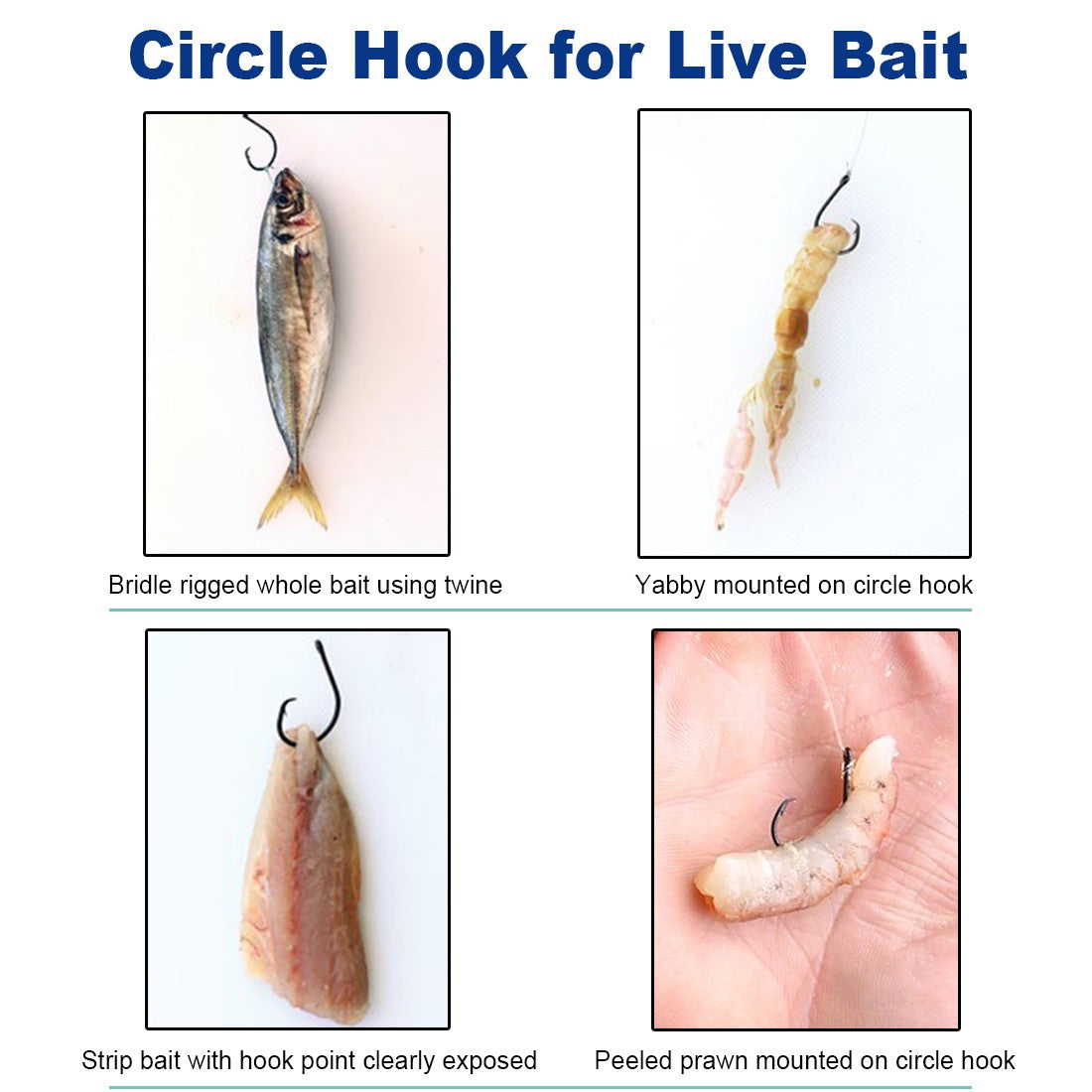 Anzóis de Círculo em Linha Pesca de Água Salgada Anzol para Bagre 25~100 Peças Anzol de Círculo com Abertura Larga Não Deslocado para Robalo Walleye Crappie Água Doce