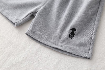 New Summer Children Boys Clothing Kids Cotton Polo T-Shirt Shorts 2Pcs/Set Toddler Casual Sport Suits Baby Clothes Tracksuits