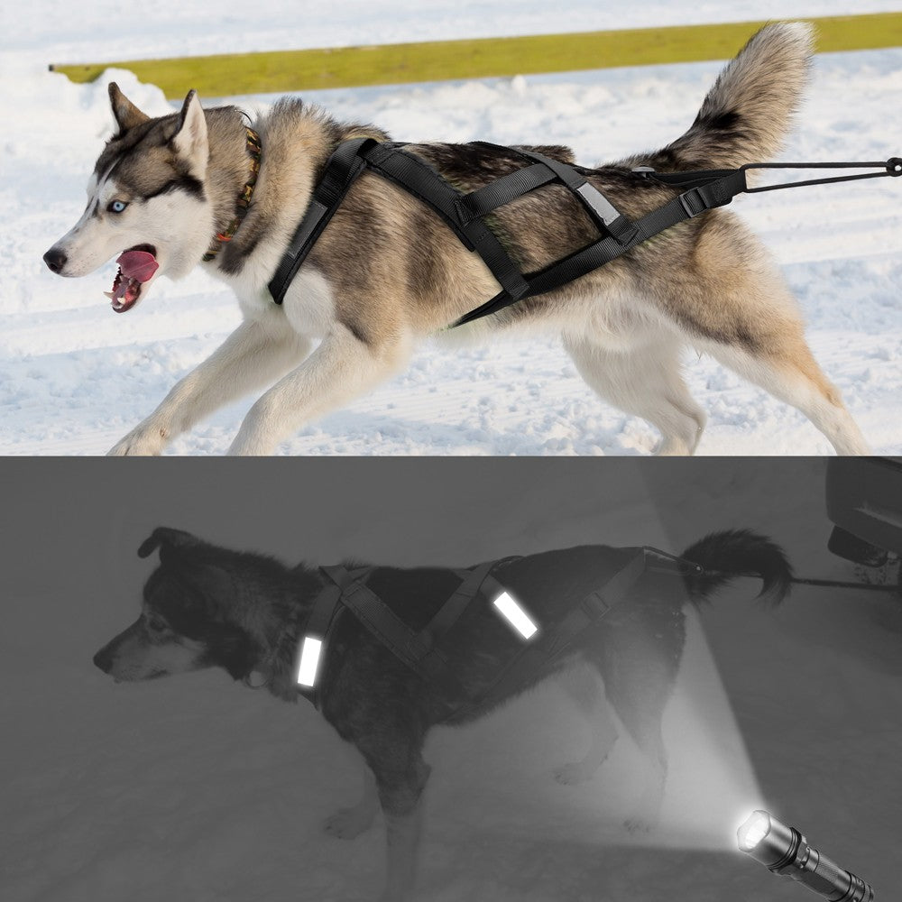 Coleira Peitoral Impermeável para Cães de Trenó, Coleira Peitoral Refletiva para Skijoring, Colete de Puxar Peso para Cães Grandes para Treinamento de Animais de Estimação