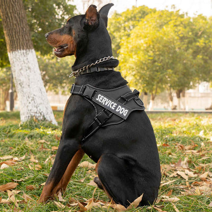 Personalized dog harness custom name tag doberman pinscher breathable adjustable pet harness suitable for medium and large dogs
