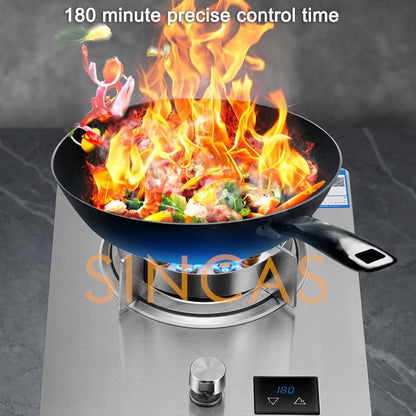 Gas Stove Single Stove Household Desktop Liquefied Gas Natural Gas Stove Embedded Stainless Steel Fierce Fire Stove Burner Stove