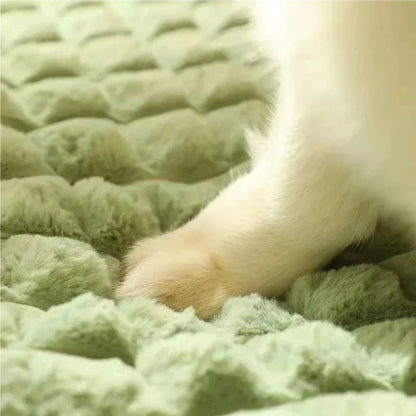 Cama para Cães Lavável à Máquina Almofada Ortopédica Removível para Filhotes Travesseiro de Espuma Viscoelástica para Cães e Gatos de Pequeno Médio e Grande Porte