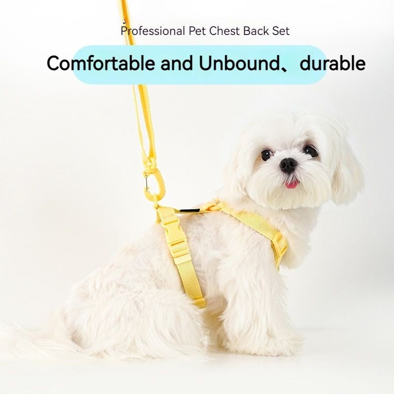 Conjunto de Coleira e Guia Ajustável para Cães Cor Macaron, Acessórios Reflexivos para Cães Pequenos para Filhotes e Gatos, Passeio com Animais de Estimação