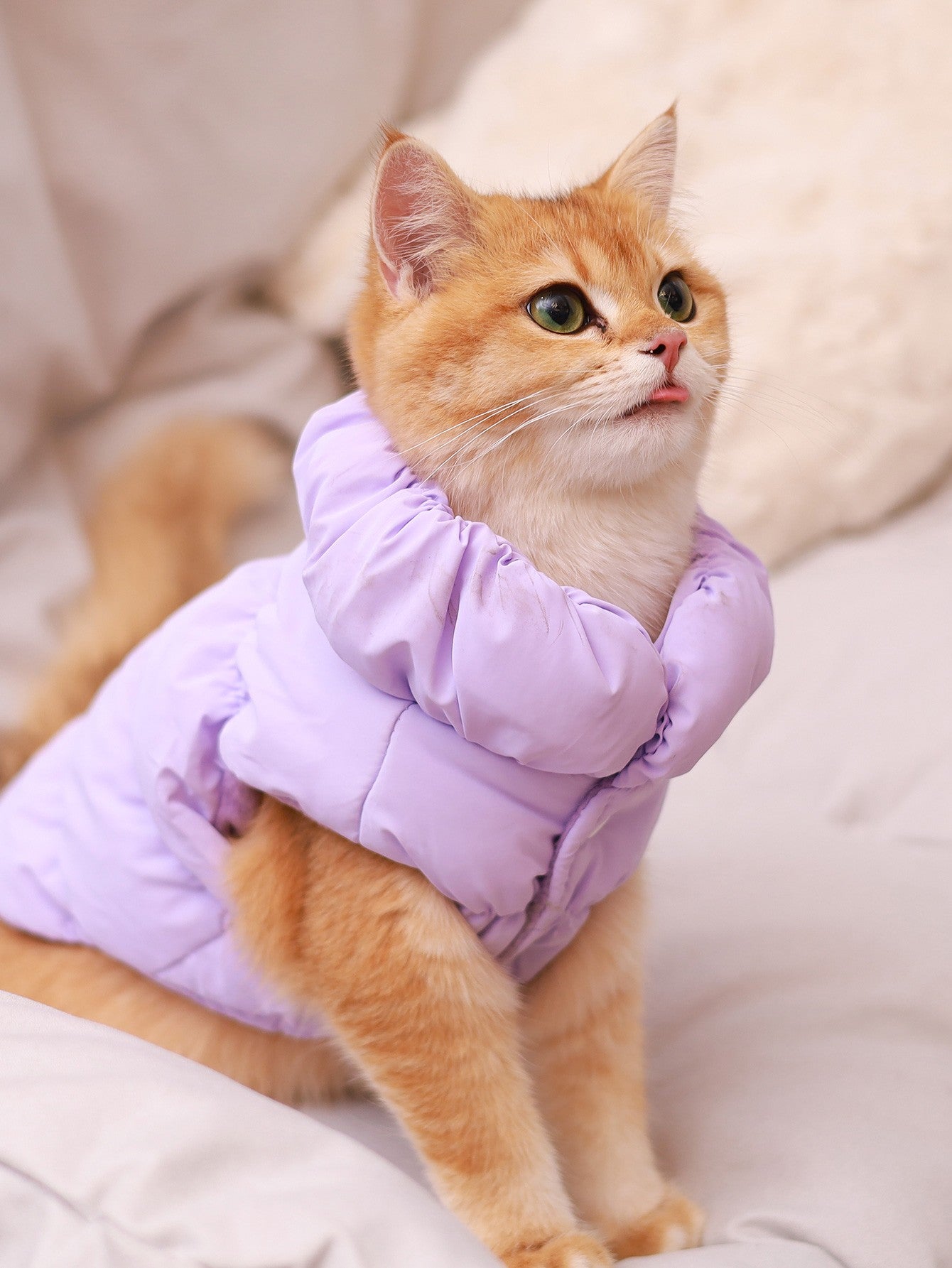 Jaqueta para Cães para Outono/Inverno, Casaco para Pets, Agasalho Quente e Grosso de 3 Camadas, Adequado para Cães Pequenos a Médios como Poodle, Teddy, York