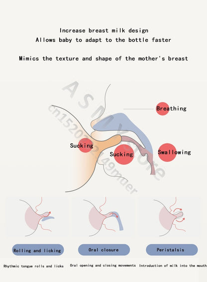 Oberni 240ml/300ml newborn PPSU baby bottle, large wide-bore easy to clean, wear a handle, baby more convenient to drink milk