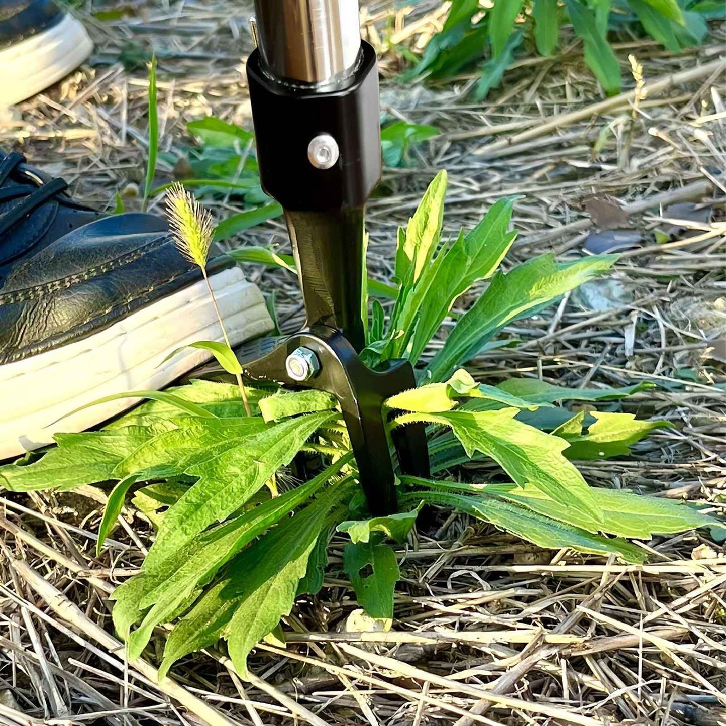 4 Claw Stand Up Weed Puller Stand Up Weed Puller 44 Inch Adjustable Handle 4 Claw Hand Weeding Tool for Garden Lawn Yard