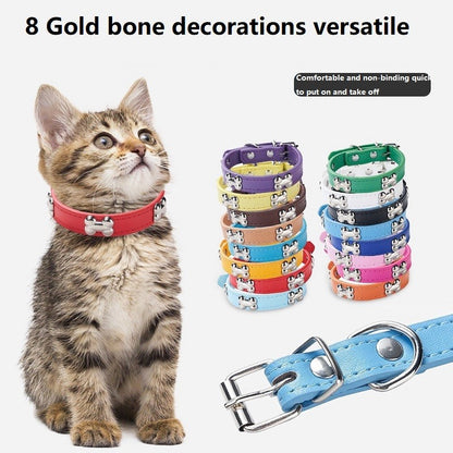 Novas coleiras de couro duráveis para cães, coleiras para filhotes de pug para cães pequenos e grandes, coleira de pescoço GXQ13