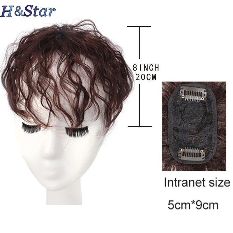 H&STAR Aplique Sintético com Presilha de 8 Polegadas para Mulheres com Cabelos Ralos - Aumenta o Volume do Cabelo, Curto e Cacheado