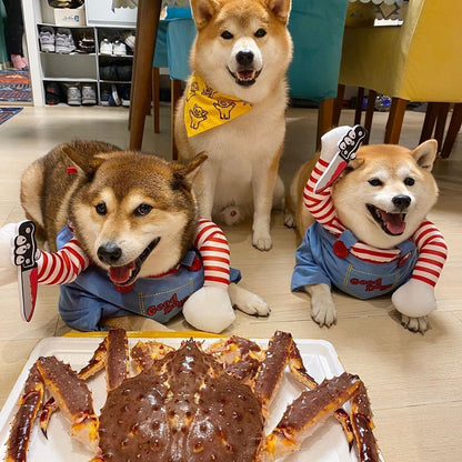 Fantasia de Halloween para Pets Vestido para Cães Pequenos e Médios – Roupa Divertida e Estilosa para Cães Gatos Brincarem com Roupas Engraçadas