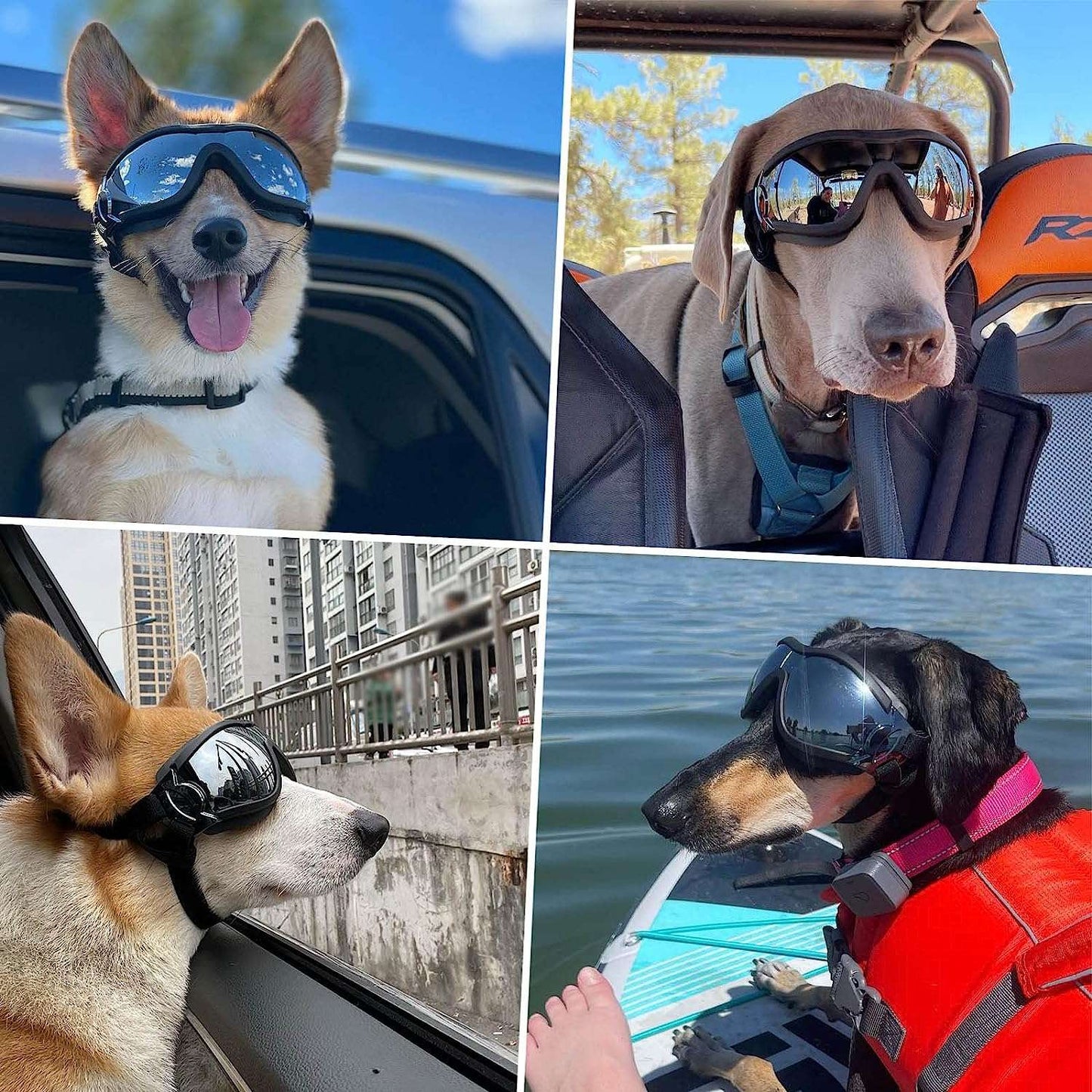 ATUBAN Capacete e Óculos de Sol para Cães Pequenos, Óculos de Proteção UV para Cães Médios, para Cães Dirigirem ao Ar Livre e Passearem