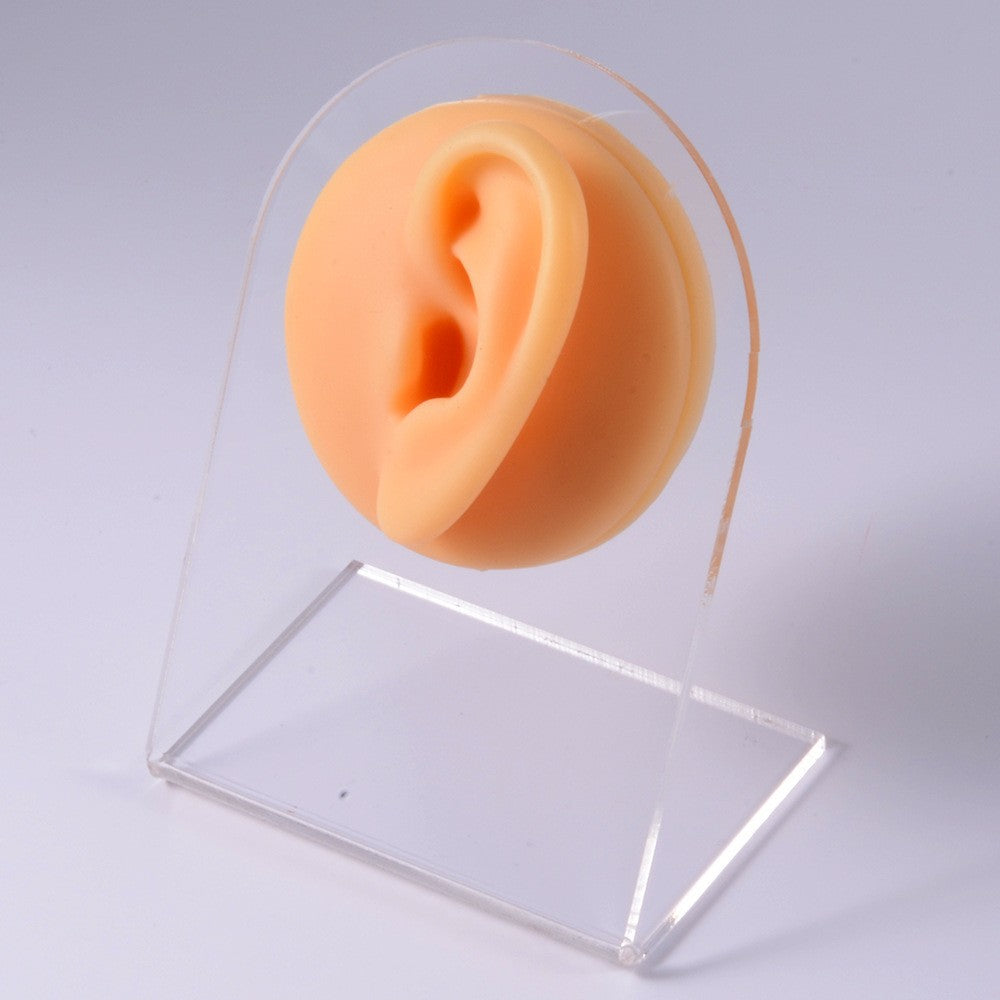 1PC Soft Silicone Simulation 1:1 Ear Nose Navel Nipple Model Practice Piercings Tools Jewelry Display Teaching Tool Accessories