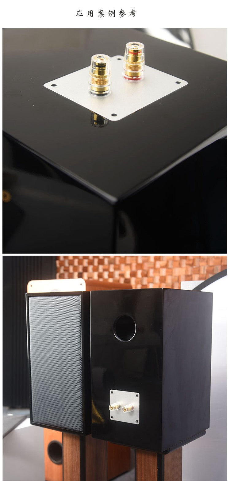 HIFIDIY Hi-Fi 2 VIAS 2 unidades de alto-falante (tweeter + grave) Crossovers divisores de frequência de áudio T2B