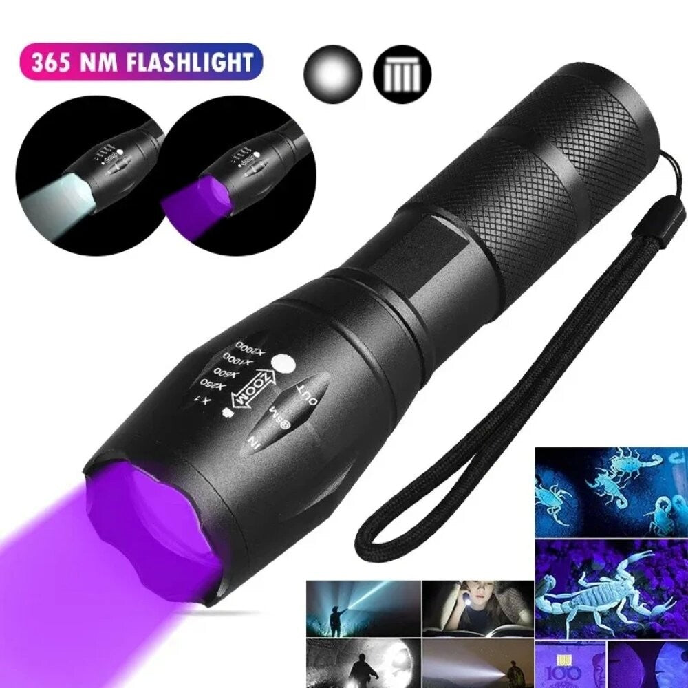 2-in-1 Type C Rechargeable UV Flashlight Torch Light 395nm Black Light Portable Ultraviolet Light Pets Blacklight Uv Flashlights