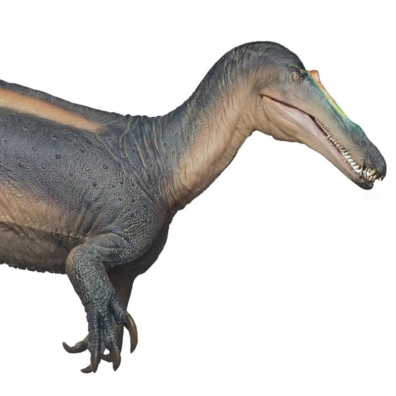 Suchomimus Thabo Dinosaur King Growth Companion Modelo 67 Dinossauro Miniatura Estatueta Colecionável Ornamento Presente de Festival para Amigos