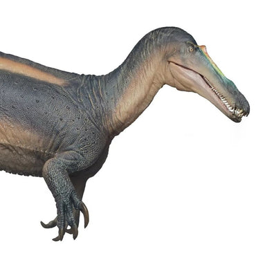 Suchomimus Thabo Dinosaur King Growth Companion Model 67 Dinosaur Model Figurine Collect Ornaments Festival Gift For Friends