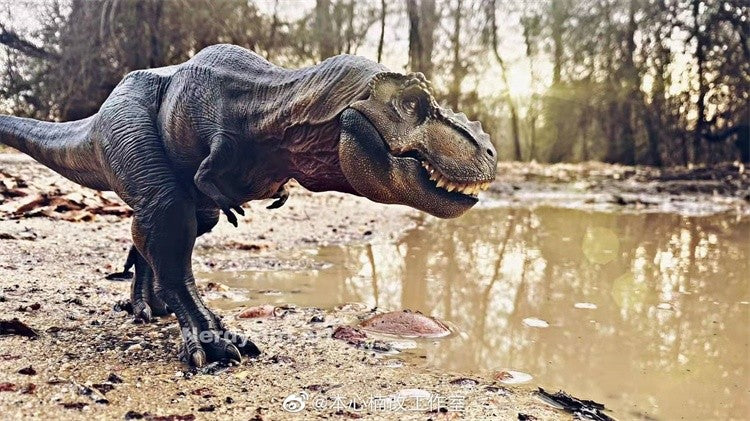 Tiranossauro Rex Eterno Rei Dinossauro Adulto e Infantil Modelo de Brinquedo Figura Enfeite de Mesa Coleção Presente de Festival Surpresa