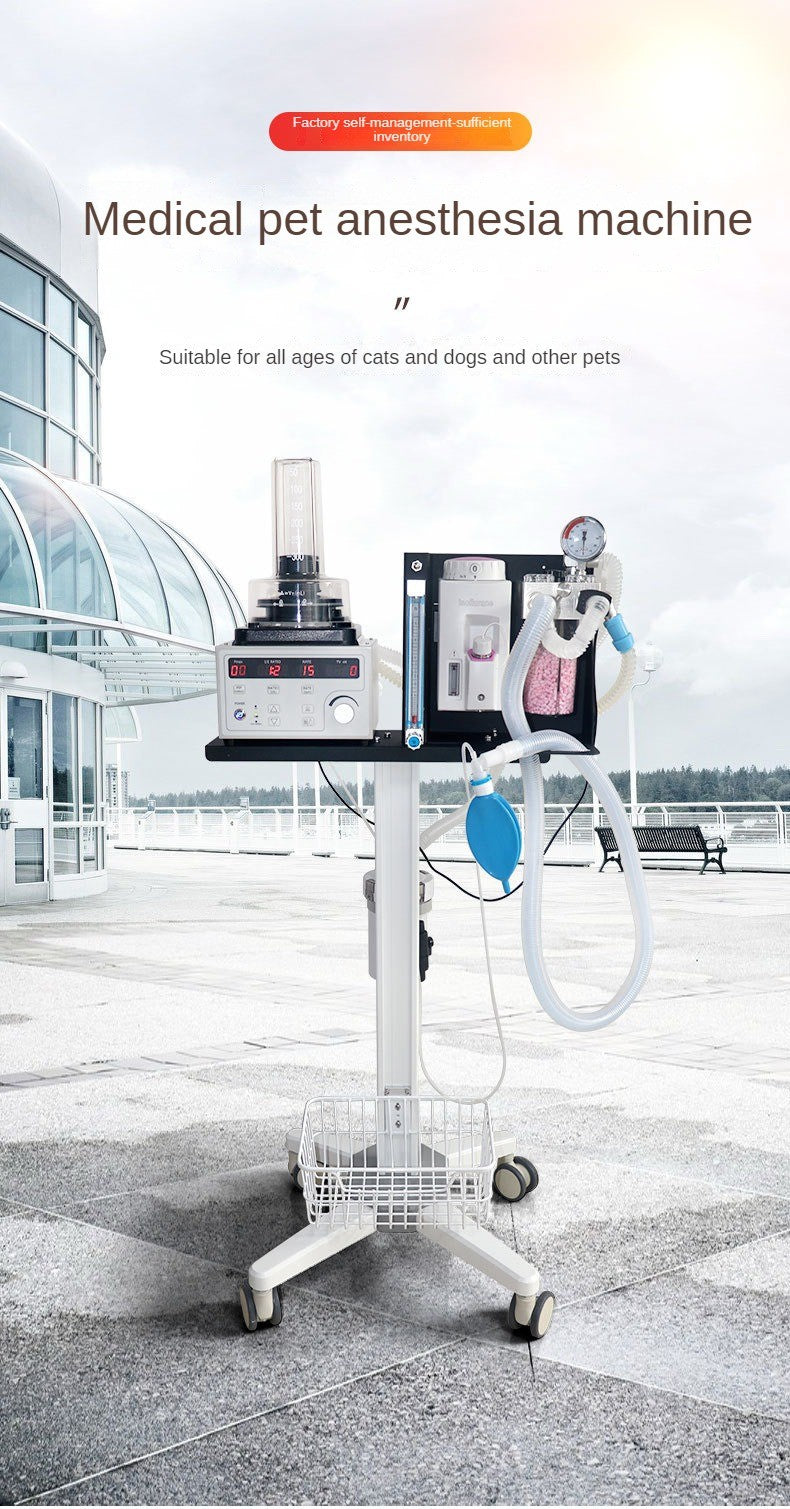 DV1200V5 Pet Anaesthesia Machine Cats Dogs Respiratory Anaesthesia Machine Aluminium Type Pet Veterinary Anaesthesia Respirator