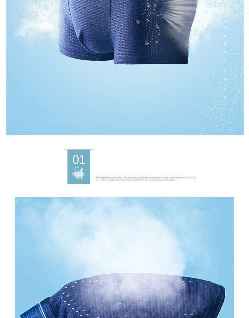 4pcs Men's Boxer Shorts Ice Silk Underwear Plus Size Underpants Cool Breathable Sexy Slim Panties Mesh Lingerie Wholesale Lots