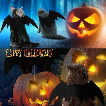 Asas de Morcego para Cães e Gatos para Decoração de Festa de Halloween, Coleira de Estimação, Fantasia de Morcego para Cosplay, Acessórios Fofos para Cães e Gatos.