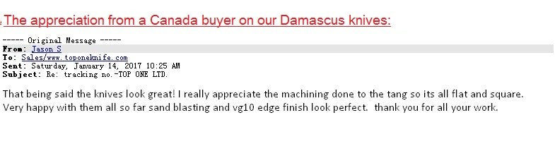 Japanese SKD-11 Damascus Steel Multifunctional Gyuto Chef Kiritsuke Knife With Wood Handle Super Sharp Long Lasting