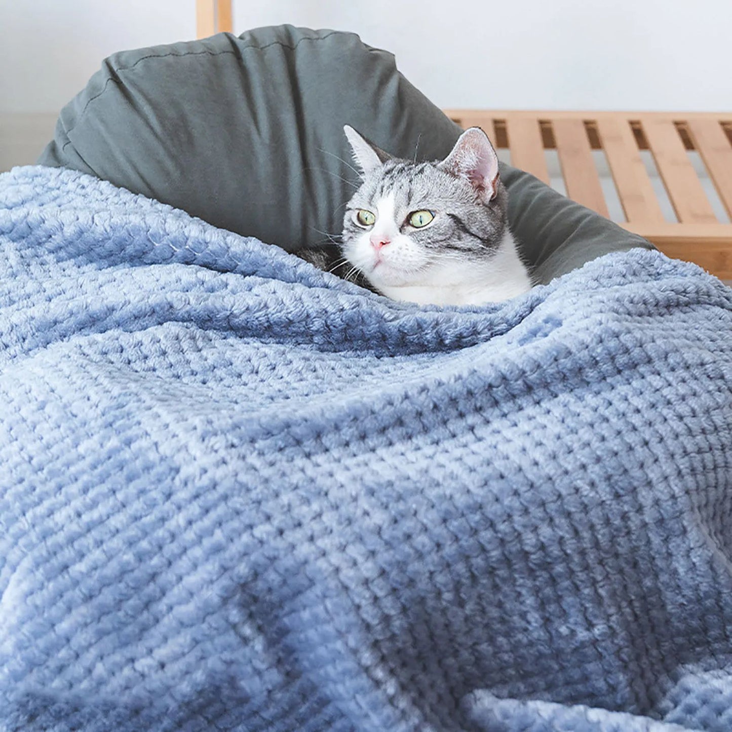 Cobertor macio para animais de estimação, manta de dormir de pelúcia para cães, cor sólida, lavável, almofada de sofá portátil, manta quente para gatos, tapete doméstico para o inverno