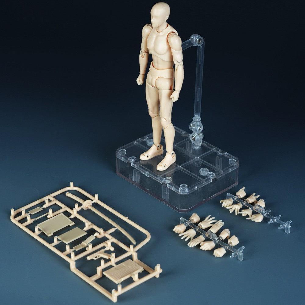 Esboço Desenho Masculino Feminino Corpo Articulável Kun Body Chan Dor nas Articulações Figura de Anime SHF Boneco Articulado Modelo de Brinquedo Desenho Manequim