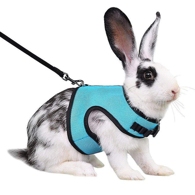 Arreio estilo colete para animais de estimação, respirável e estiloso, com alça macia ajustável e conjunto de coleira elástica, adequado para coelhos e gatos