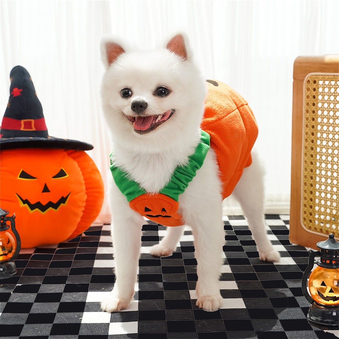Fantasia de Abóbora Engraçada para Cães no Halloween, Lanterna, Traje de Transformação, Duas Pernas, Animal de Estimação, Chapéu Fofo de Abóbora, Jaqueta para Cães e Gatos