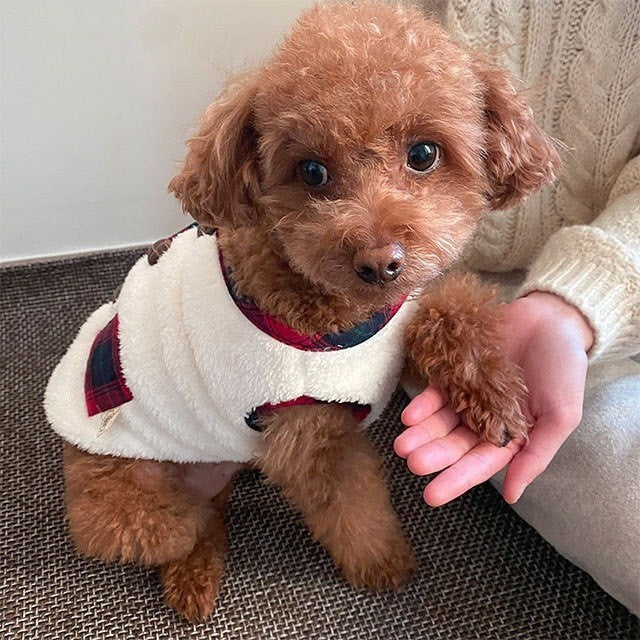 Roupas de Natal para Golden Retriever Cães de Médio e Grande Porte Inverno Colete de Duas Pernas Cães Gatos Roupas para Pets Suprimentos para Cães Roupas Atacado
